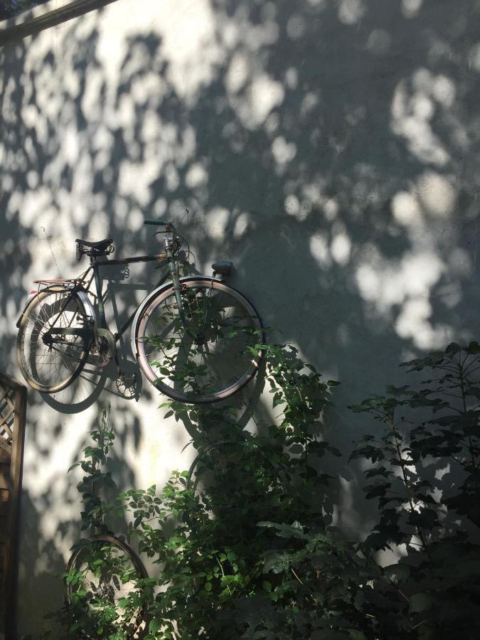Un Autre Monde Apartman Saint-Claude Kültér fotó